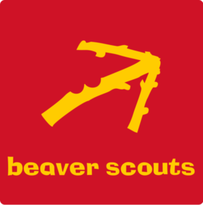 beaver section