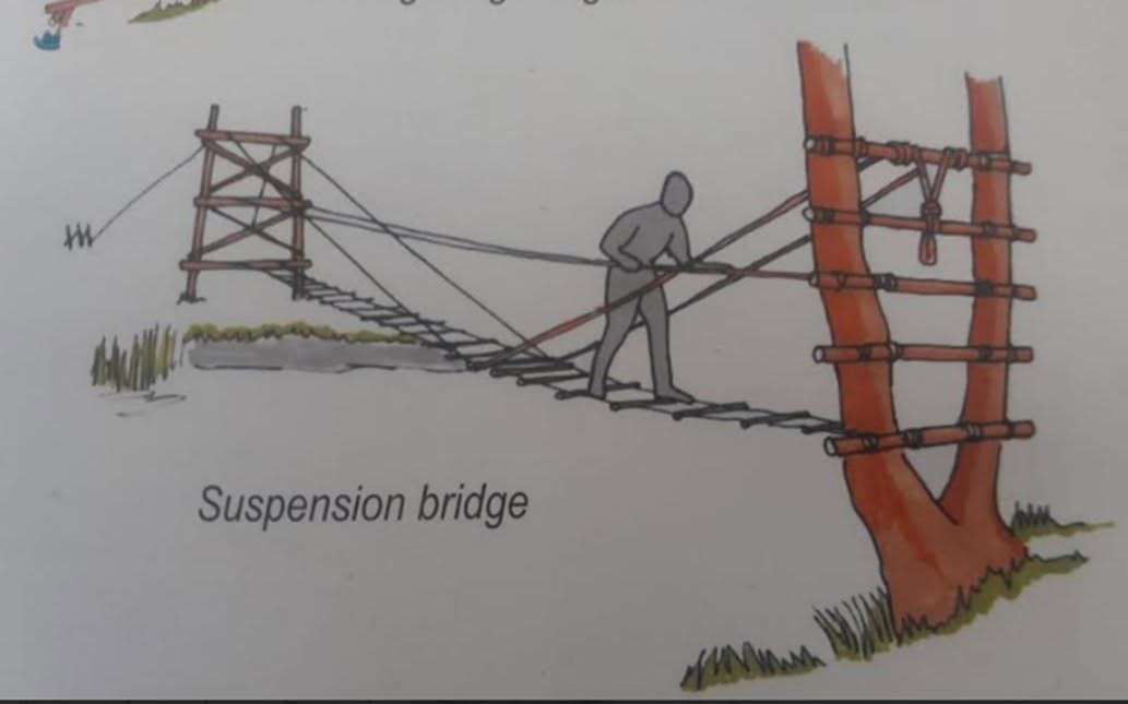 bridge1